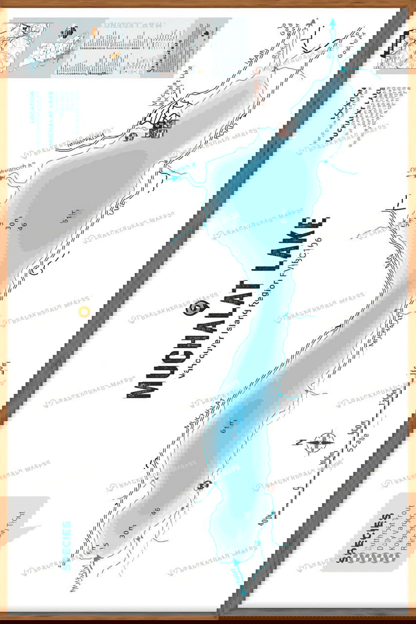 FVIBC106 Muchalat Lake - Wall Map - Backroad Maps