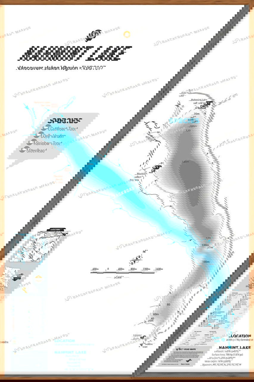 FVIBC107 Nahmint Lake - Wall Map - Backroad Maps