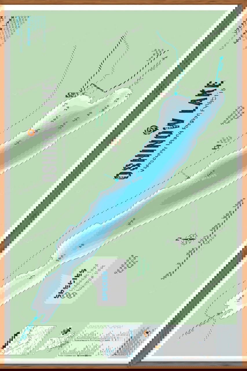 FVIBC116 Oshinow Lake - Wall Map - Backroad Maps