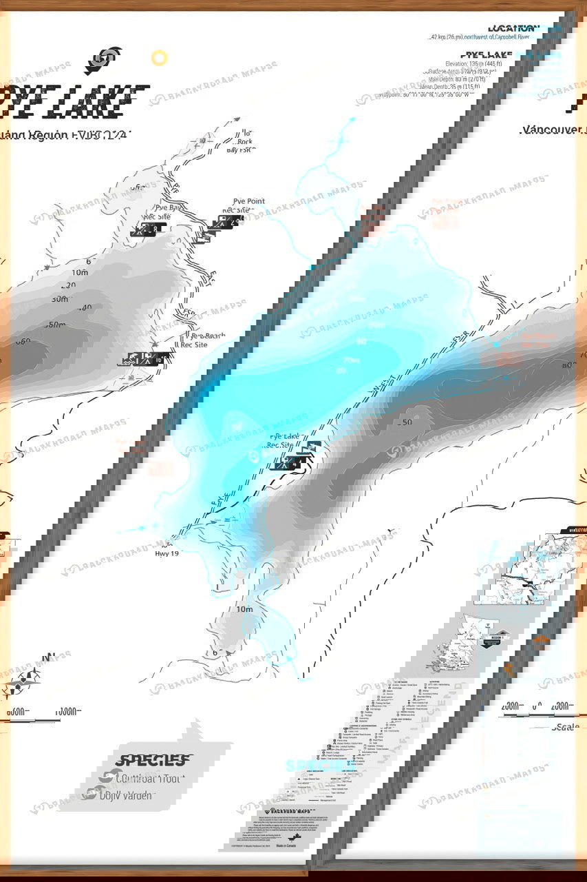FVIBC124 Pye Lake - Wall Map - Backroad Maps
