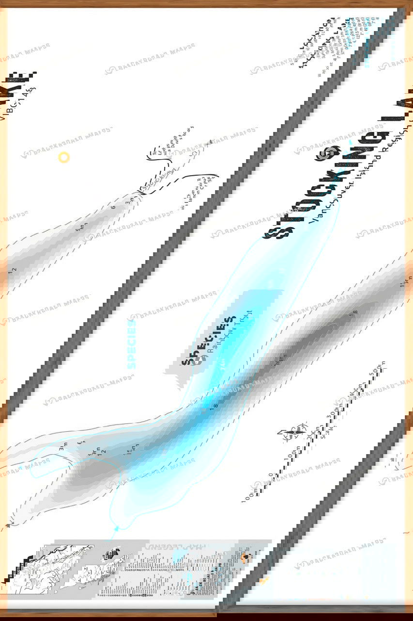 FVIBC148 Stocking Lake - Wall Map - Backroad Maps