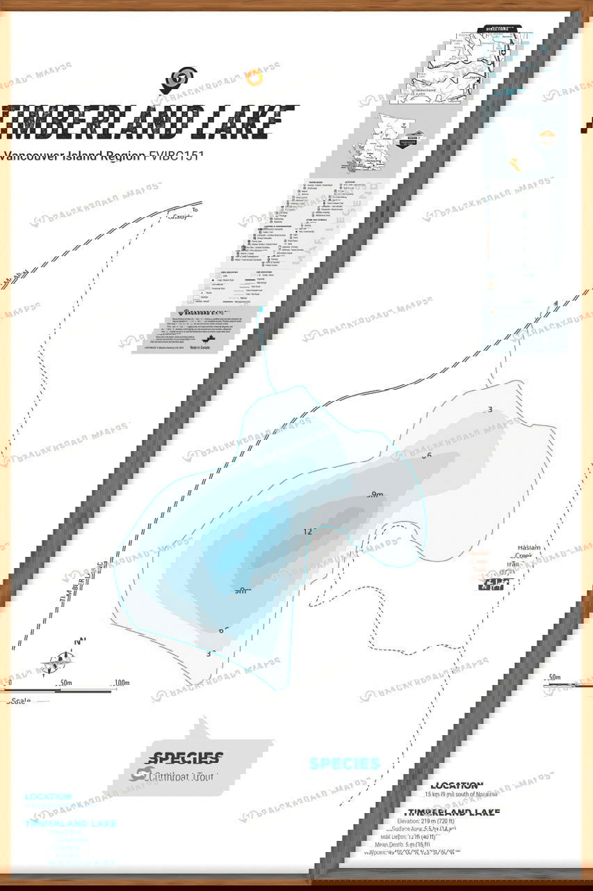 FVIBC151 Timberland Lake - Wall Map - Backroad Maps