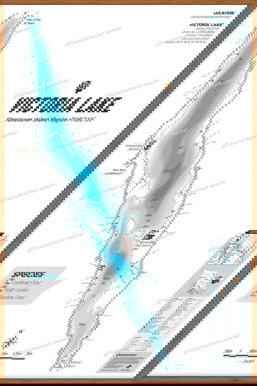 FVIBC155 Victoria Lake - Wall Map - Backroad Maps