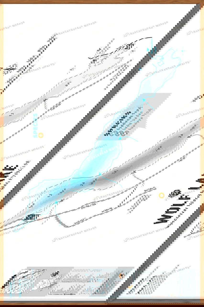 FVIBC158 Wolf Lake - Wall Map - Backroad Maps