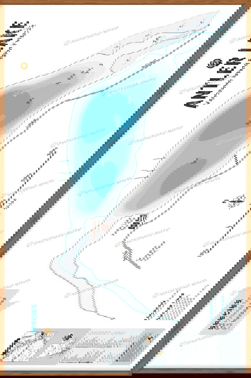 FVIBC22 Antler Lake - Wall Map - Backroad Maps