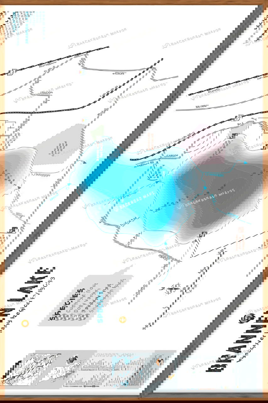 FVIBC33 Brannen Lake - Wall Map - Backroad Maps