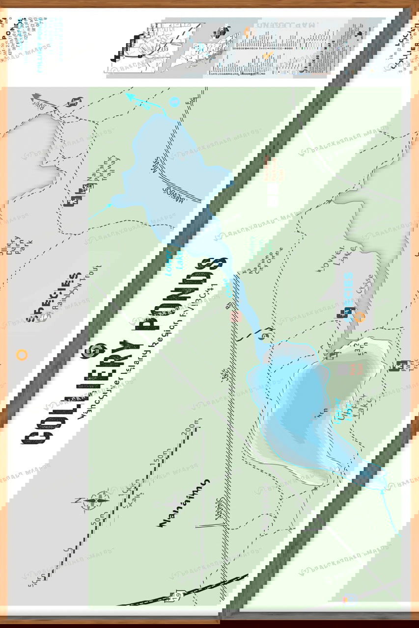 FVIBC41 Colliery Ponds - Wall Map - Backroad Maps