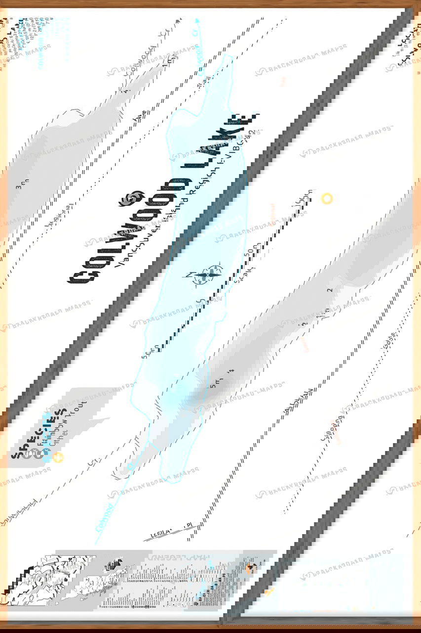 FVIBC42 Colwood Lake - Wall Map - Backroad Maps
