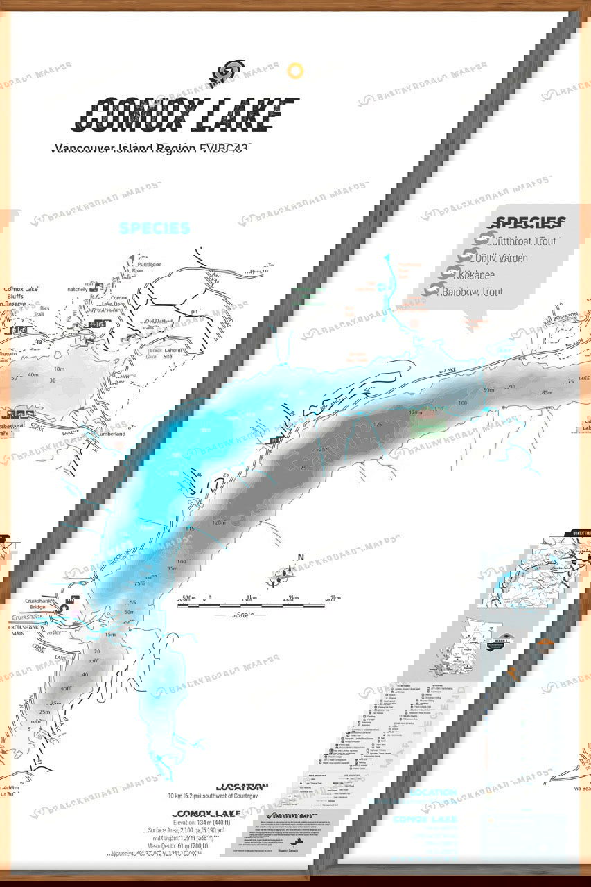 FVIBC43 Comox Lake - Wall Map - Backroad Maps