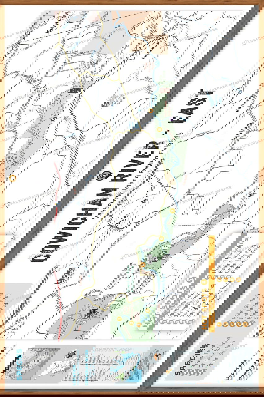 FVIBC45 - Cowichan River (East) - Wall Map - Backroad Maps