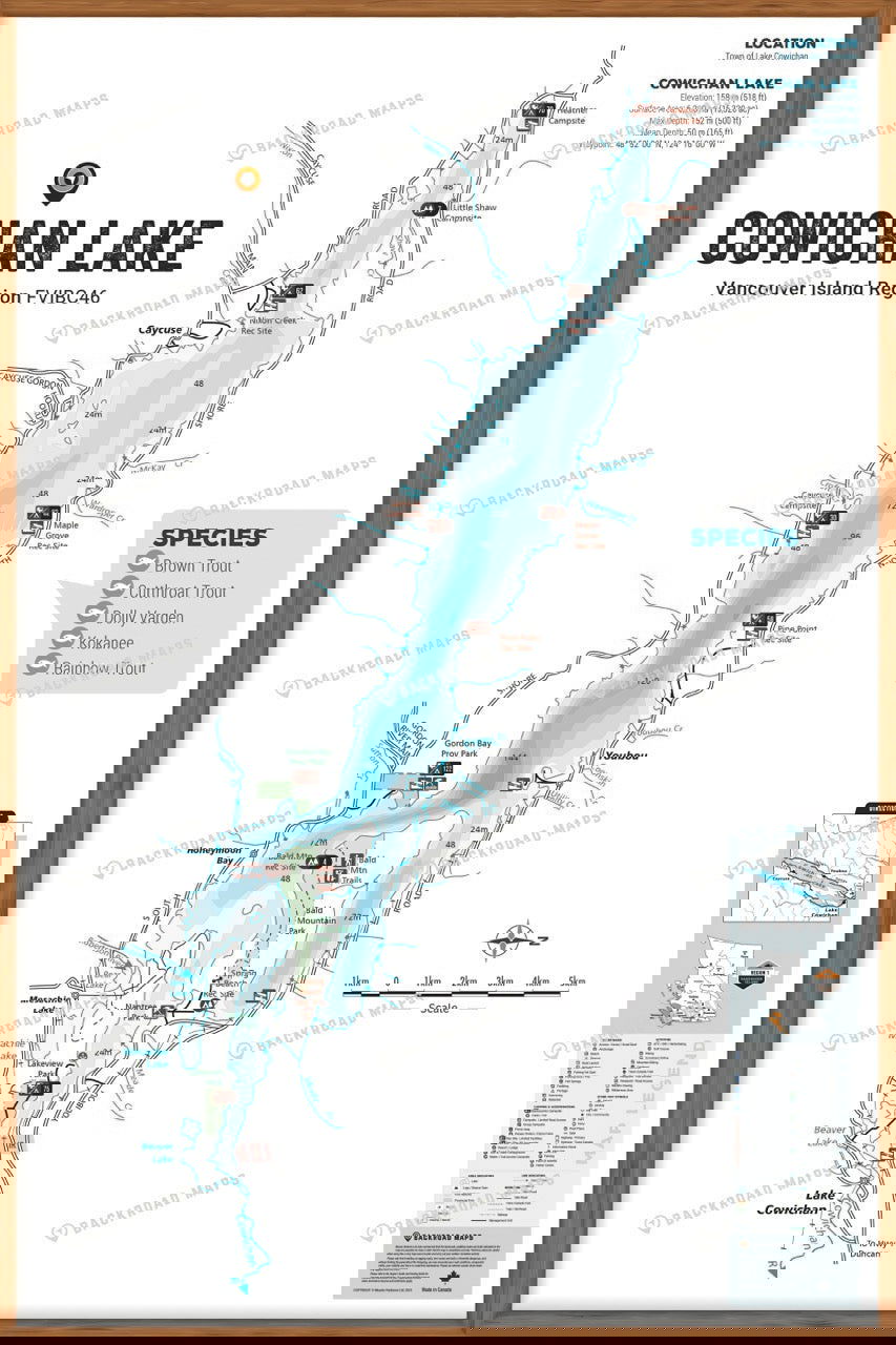 FVIBC46 Cowichan Lake - Wall Map - Backroad Maps