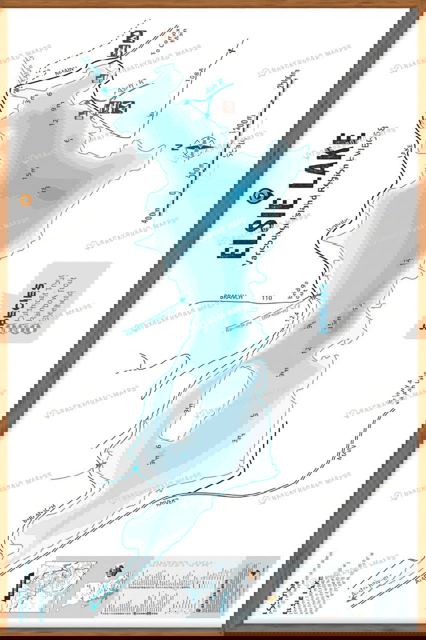 FVIBC58 Elsie Lake - Wall Map - Backroad Maps