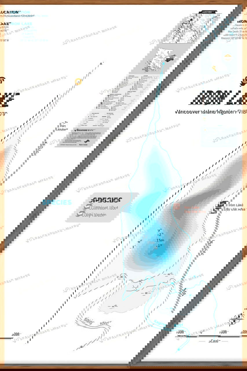 FVIBC79 Iron Lake - Wall Map - Backroad Maps