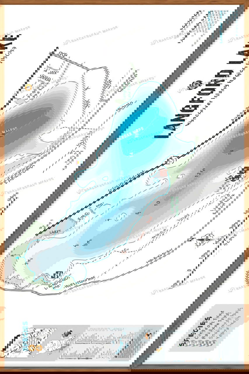 FVIBC89 Langford Lake - Wall Map - Backroad Maps