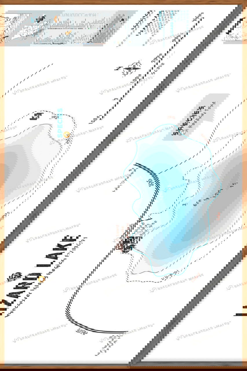 FVIBC91 Lizard Lake - Wall Map - Backroad Maps