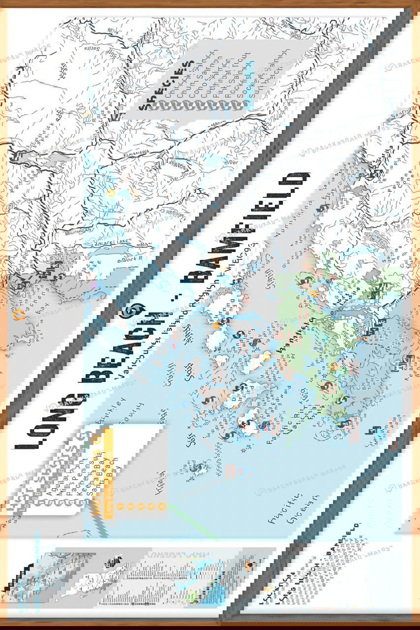 FVIBC93 Long Beach - Wall Map - Backroad Maps