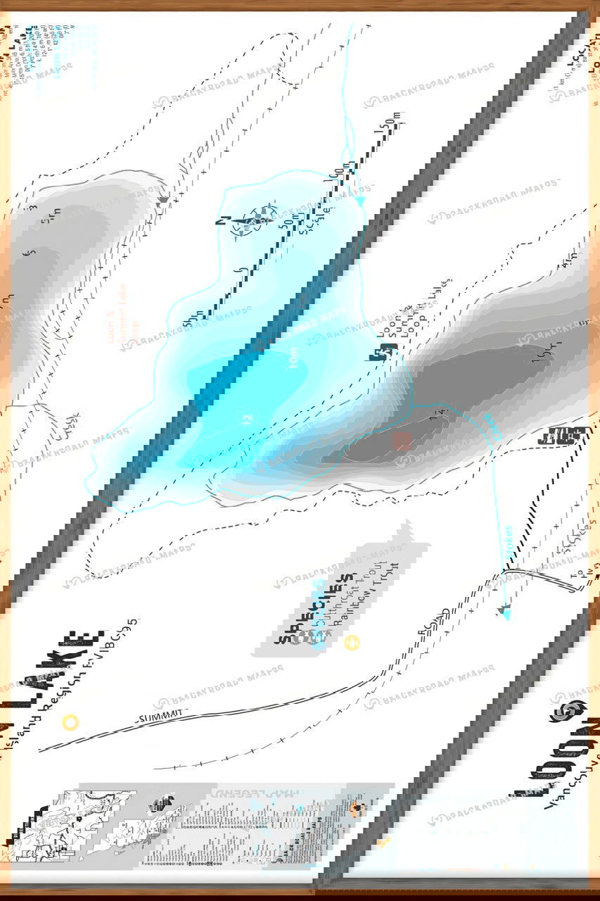 FVIBC95 Loon Lake - Wall Map - Backroad Maps