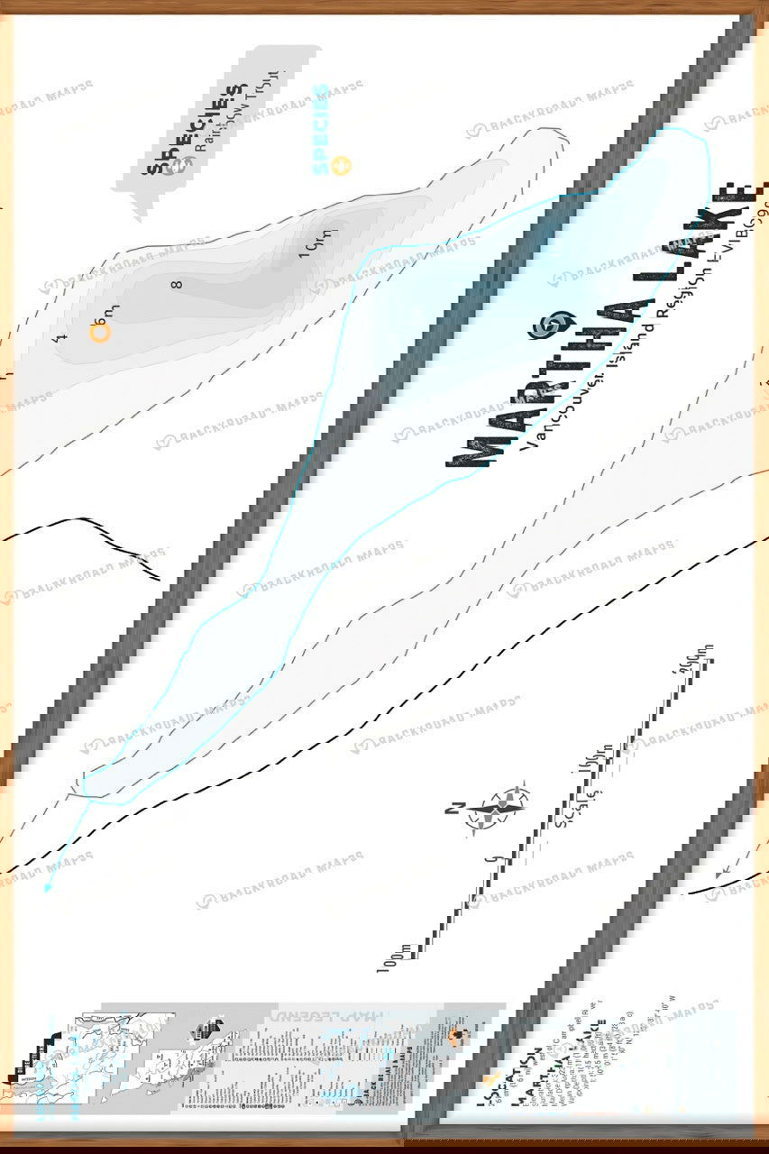 FVIBC99 Martha Lake - Wall Map - Backroad Maps