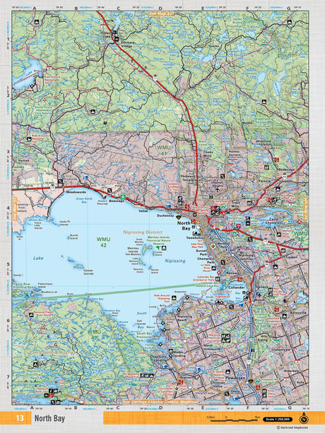 NEON13 TOPO Map - North Bay - Backroad Maps