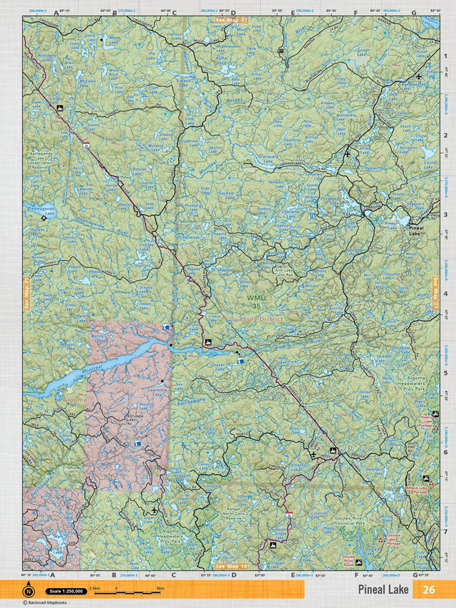 NEON26 TOPO Map - Pineal Lake - Backroad Maps