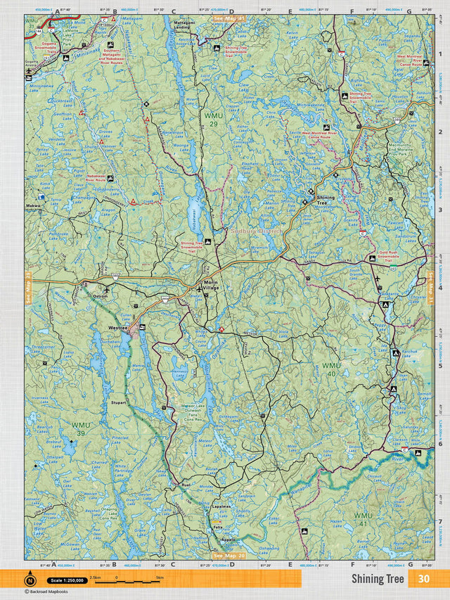 NEON30 TOPO Map - Shining Tree - Backroad Maps