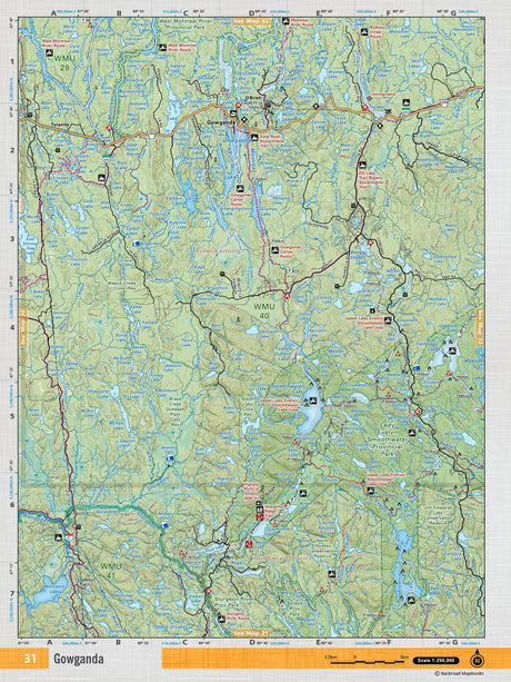 NEON31 TOPO Map - Gowganda - Backroad Maps