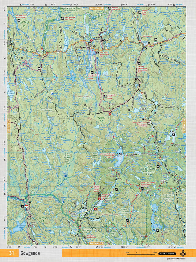 NEON31 TOPO Map - Gowganda - Backroad Maps
