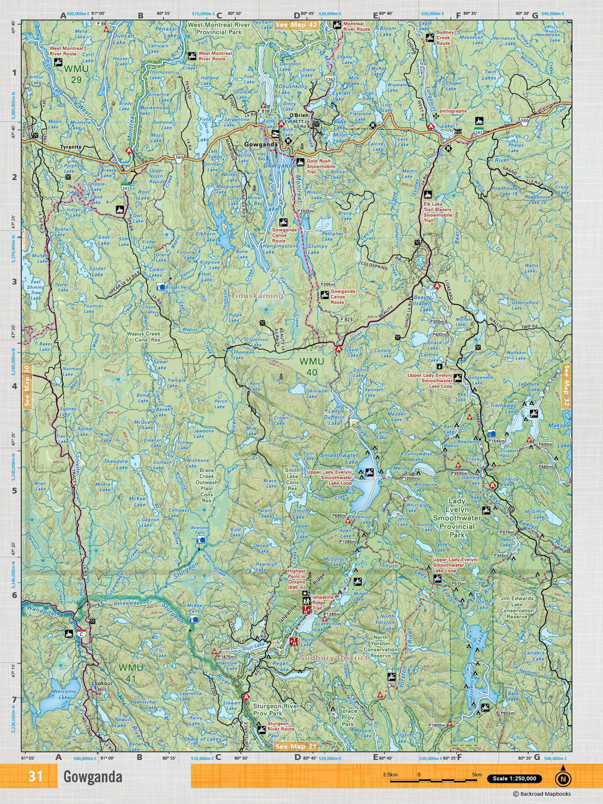 NEON31 Wall Map - Gowganda - Backroad Maps