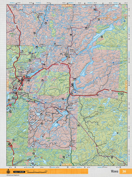 NEON36 TOPO Map - Wawa - Backroad Maps