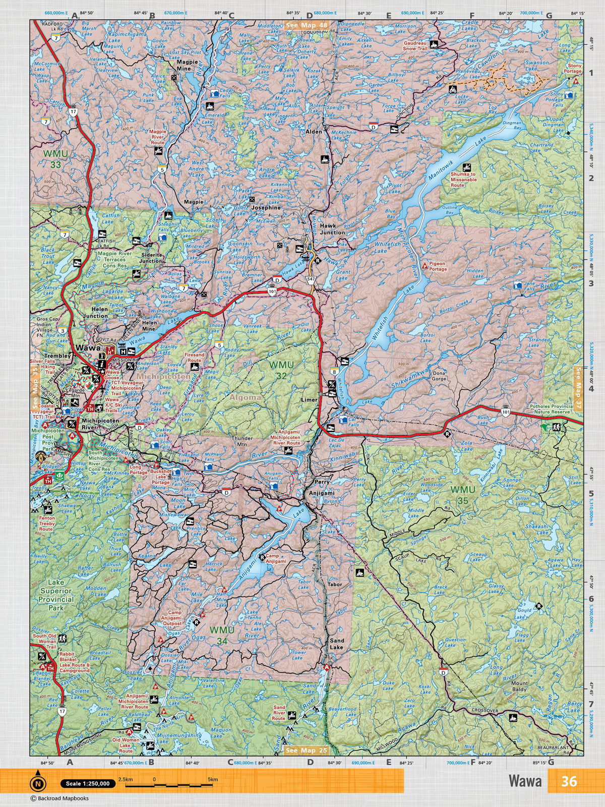 NEON36 Wall Map - Wawa - Backroad Maps