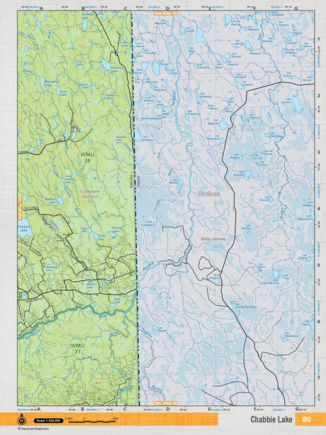 NEON80 TOPO Map - Chabbie Lake - Backroad Maps