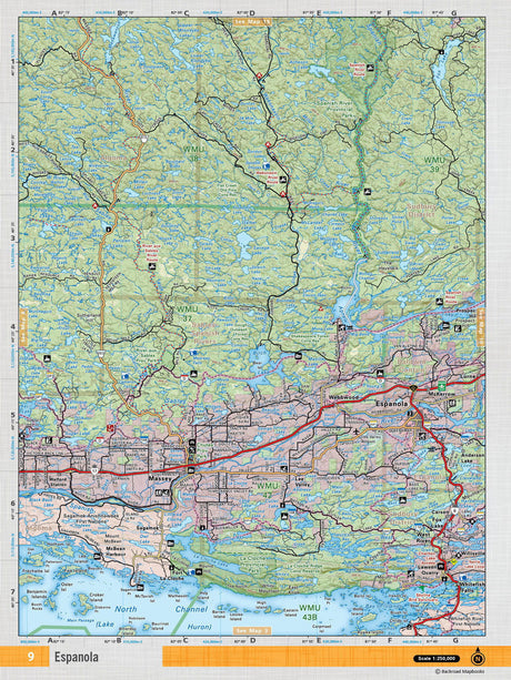 NEON9 Wall Map - Espanola - Backroad Maps