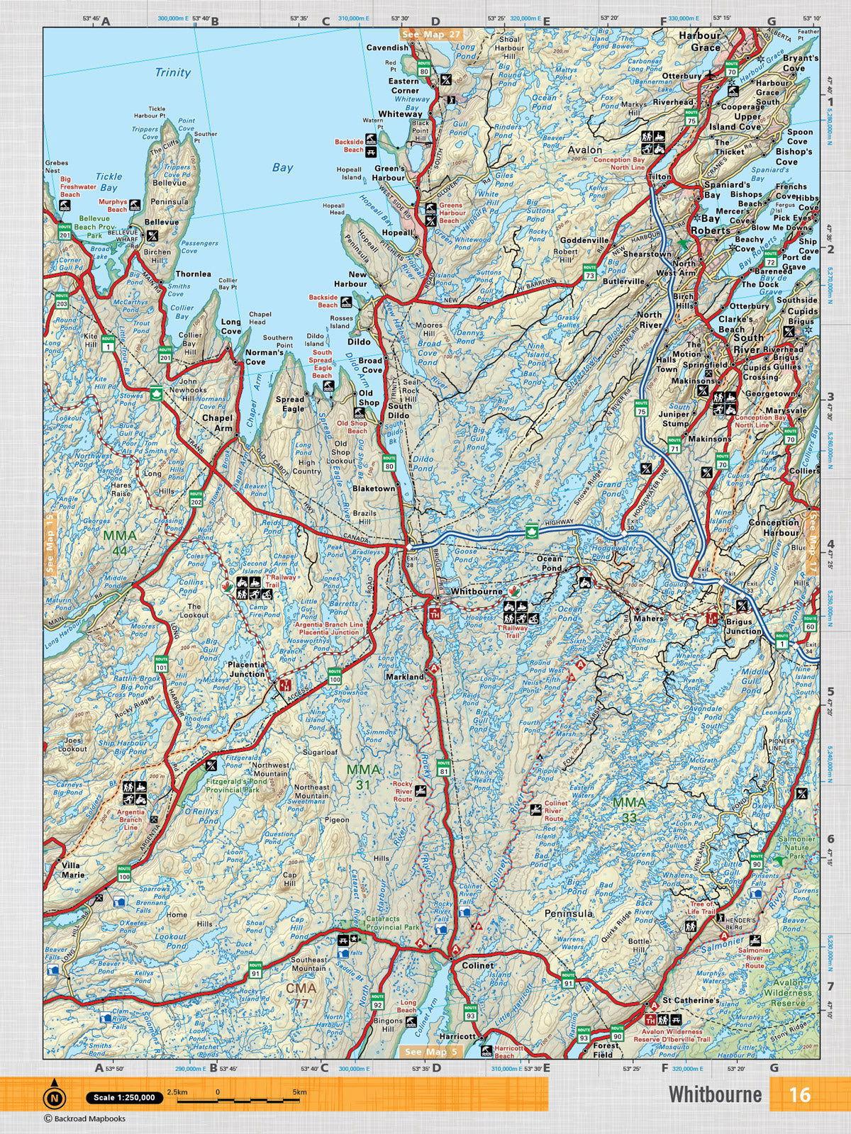NFLD16 Wall Map - Whitbourne - Backroad Maps
