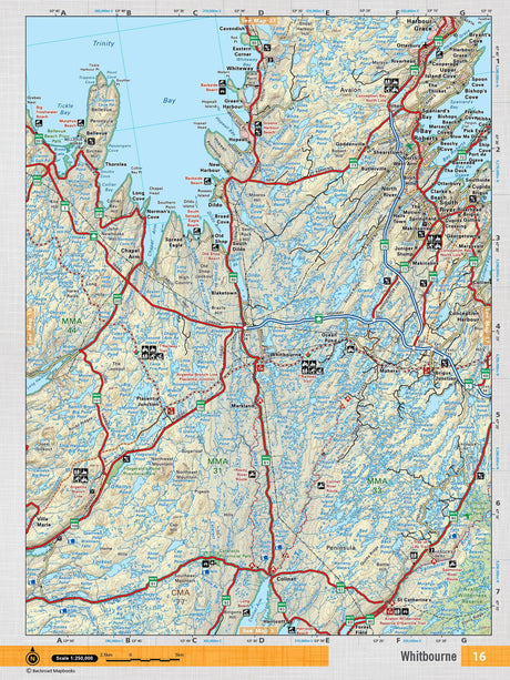 NFLD16 Wall Map - Whitbourne - Backroad Maps