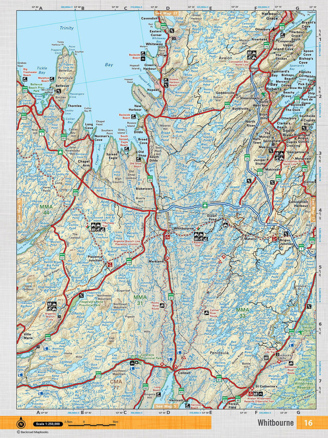 NFLD16 Wall Map - Whitbourne - Backroad Maps