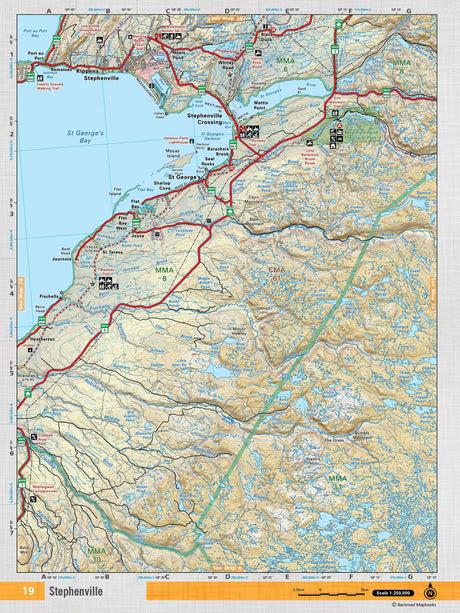 NFLD19 Wall Map - Stephenville - Backroad Maps