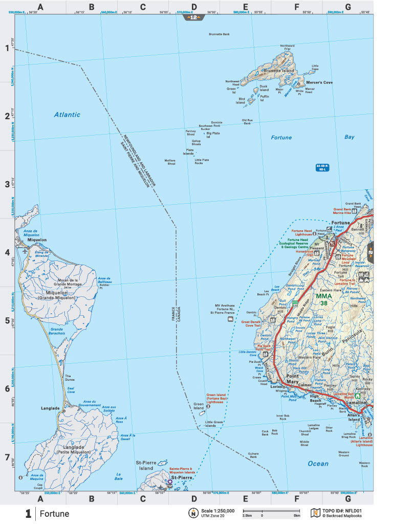 NFLD1 Wall Map - Fortune - Backroad Maps