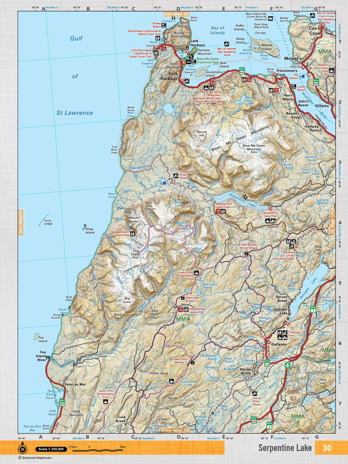 NFLD30 Wall Map - Serpentine Lake - Backroad Maps