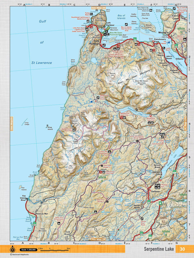 NFLD30 Wall Map - Serpentine Lake - Backroad Maps