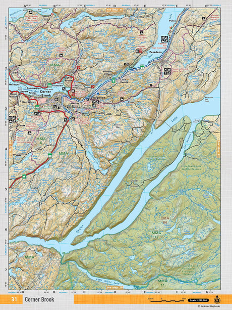 NFLD31 Wall Map - Corner Brook - Backroad Maps