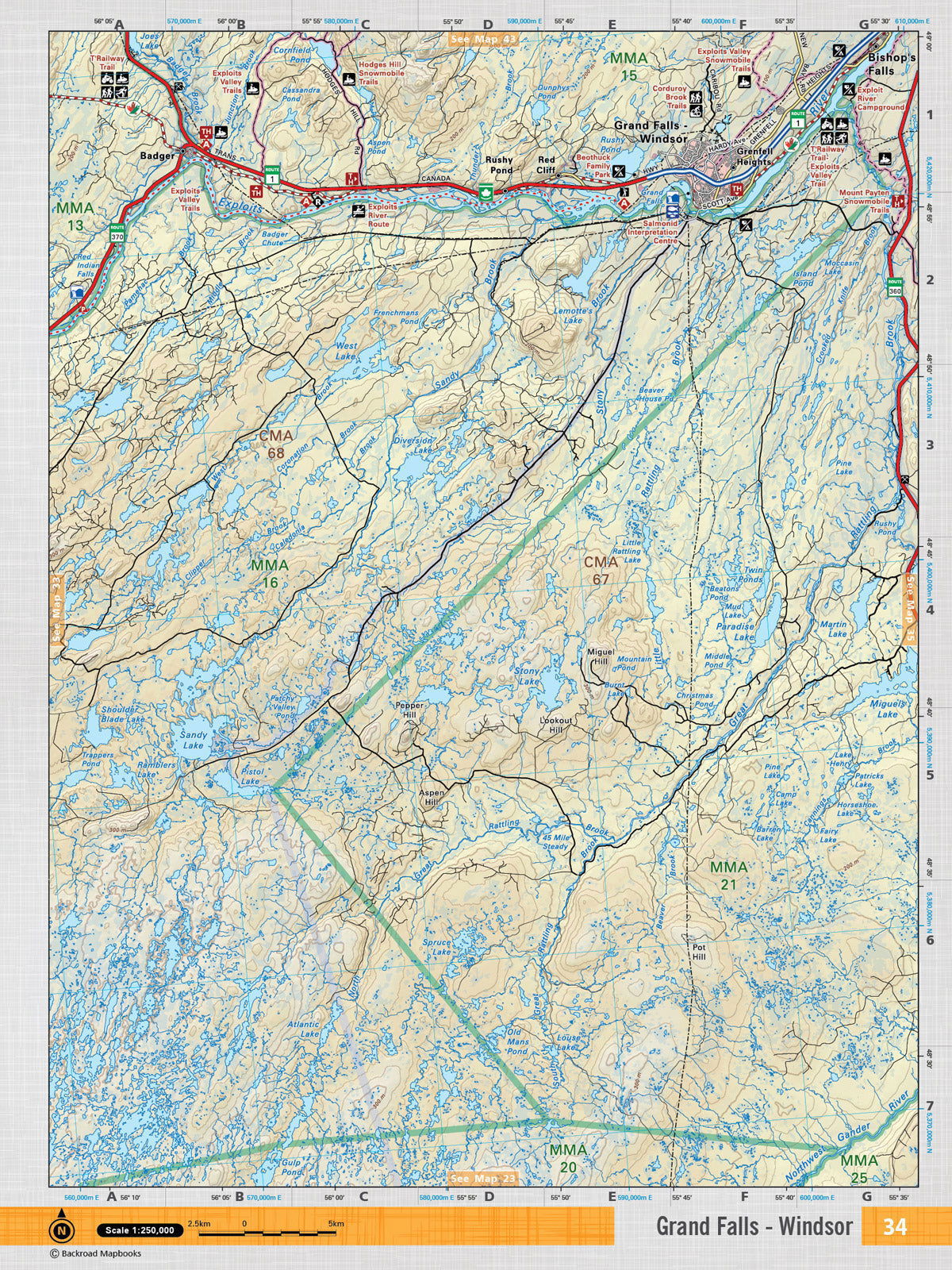 NFLD34 Wall Map - Grand Falls - Backroad Maps