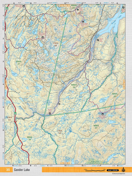NFLD35 Wall Map - Gander Lake - Backroad Maps