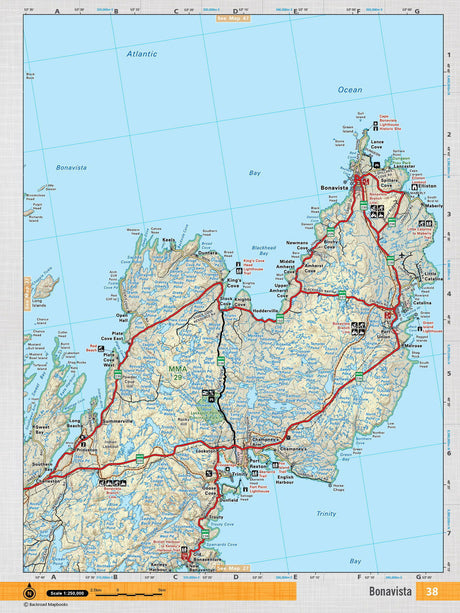 NFLD38 Wall Map - Bonavista - Backroad Maps