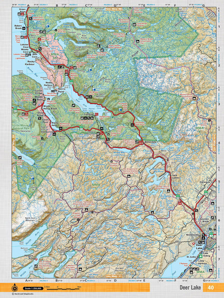 NFLD40 Wall Map - Deer Lake - Backroad Maps