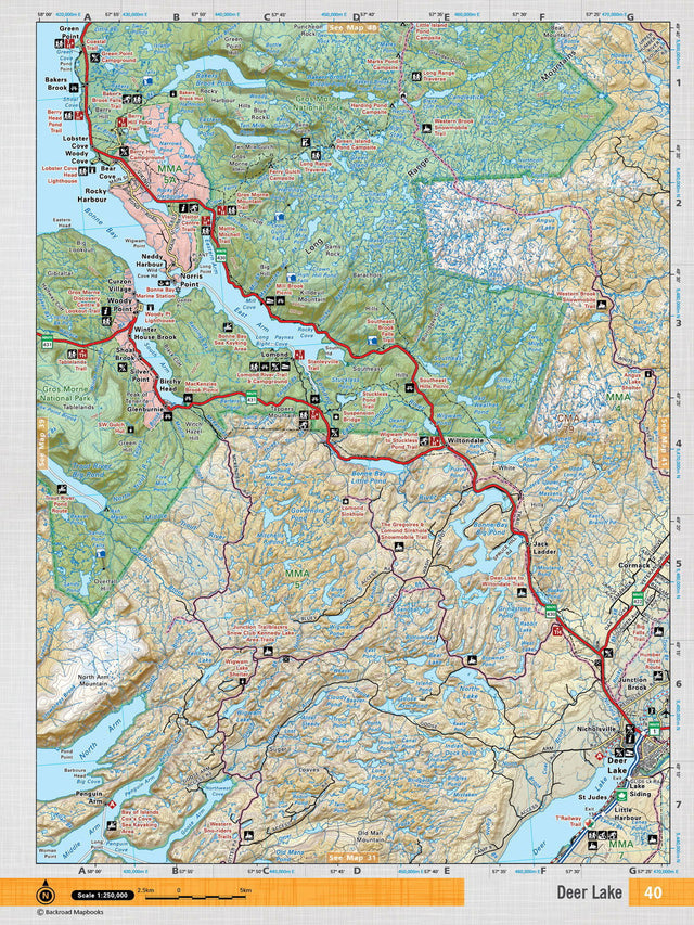 NFLD40 Wall Map - Deer Lake - Backroad Maps