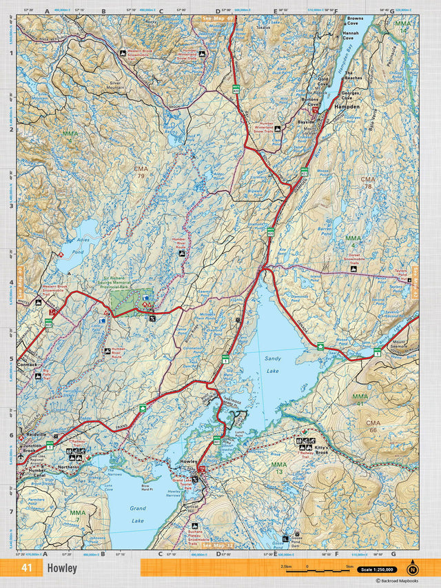 NFLD41 Wall Map - Howley - Backroad Maps