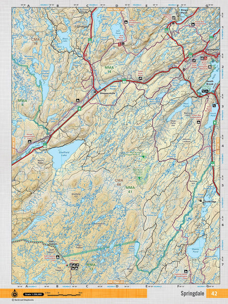 NFLD42 Wall Map - Springdale - Backroad Maps
