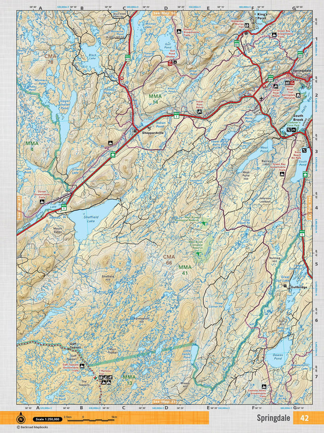 NFLD42 Wall Map - Springdale - Backroad Maps