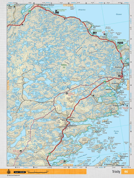NFLD46 Wall Map - Trinity - Backroad Maps