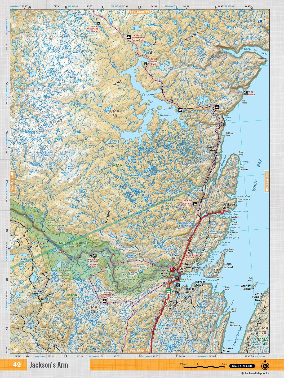 NFLD49 Wall Map - Jackson's Arm - Backroad Maps